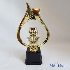 Lucky Loser, Trostpreis