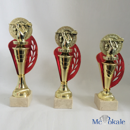 pokal06.12.17_bearbeitet